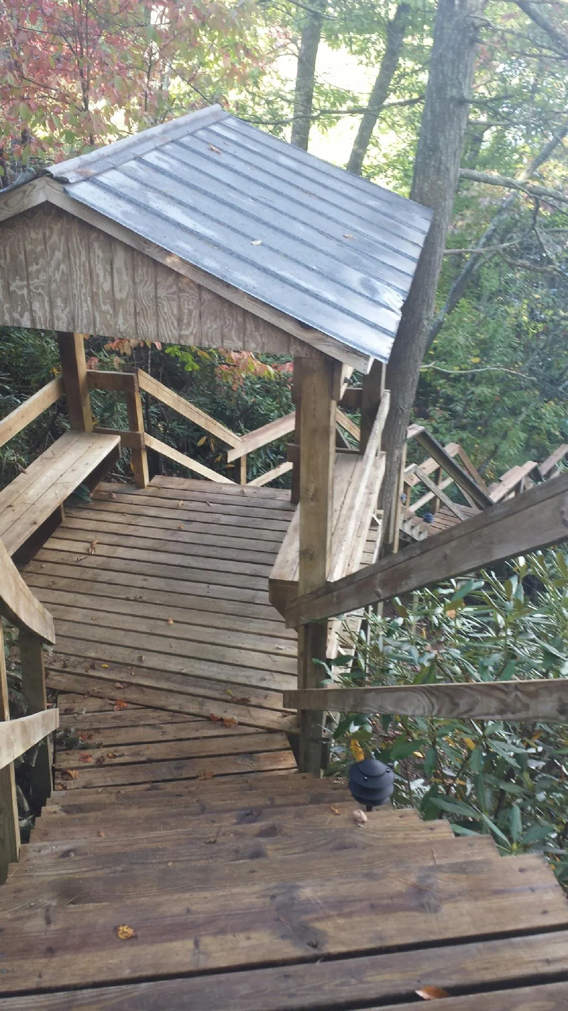 Metal roofed shelter over wooden steps on a wooded walkway — Skylight Repair & Installation work by our crew in Walstonburg